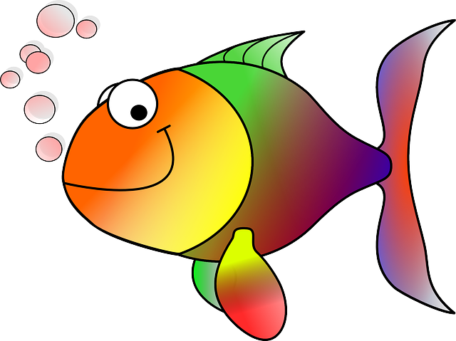 Redifish Investment 
